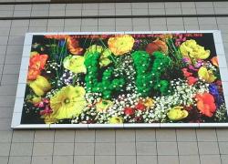 河南LED顯示屏